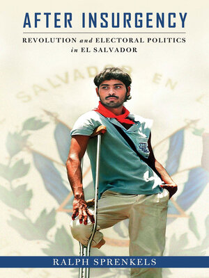 cover image of After Insurgency